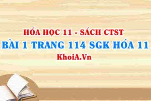 Bài 1 trang 114 SGK Hóa 11 Chân trời sáng tạo